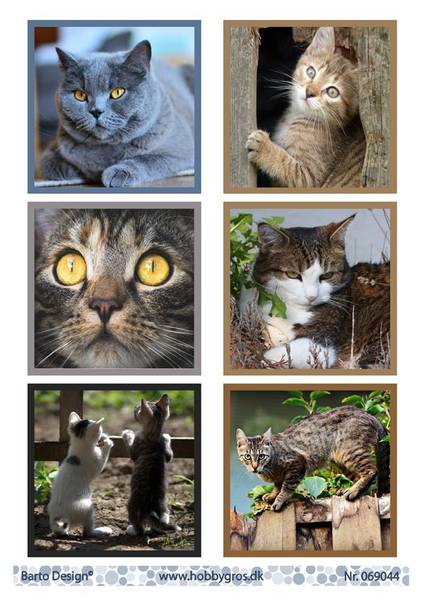 Barto Design - Klippeark A4 - 069044 - Cats 2