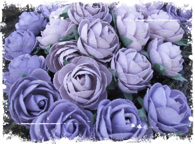 Hovedbilde Papirdesign - Pion - Lilla -> Vintage lilla