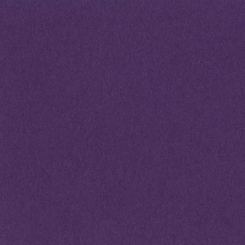 Bazzill - Smoothies - T6-681 - Boysenberry Delight - 302232