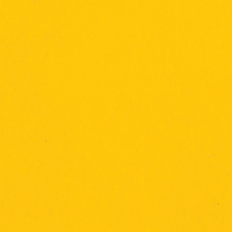 Bazzill - Smoothies - T4-441 - Pineapple Bliss - 302220
