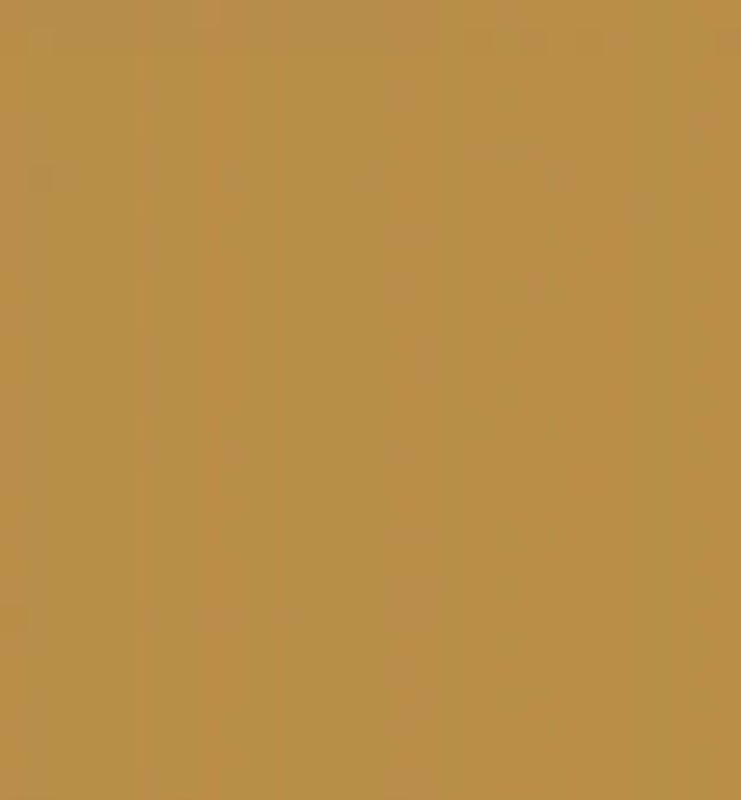 Tsukineko - VersaFine - Pigment Ink Pad - 52 - Toffee
