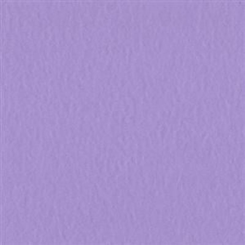 Bazzill - Prismatic - T19-6015 - Frosted Amethyst
