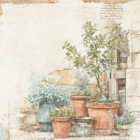 Hovedbilde Reprint - 12x12 - RP0760 - The Pottery - Terracotta Garden