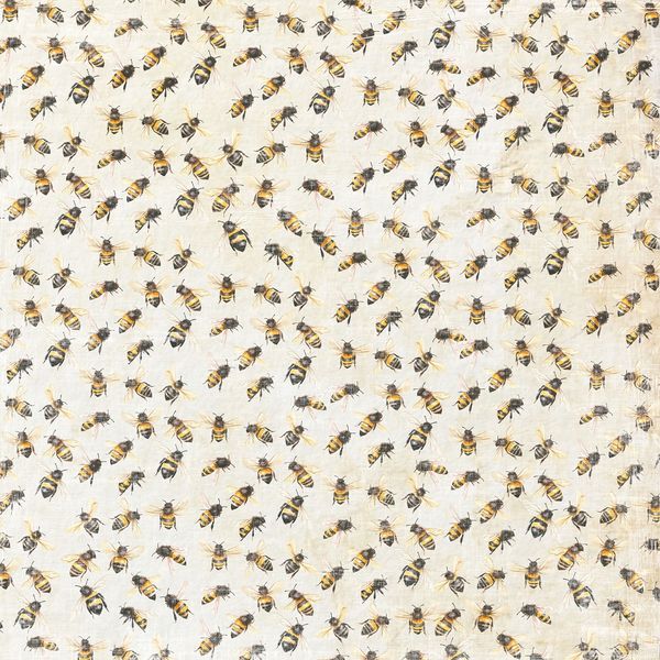 Reprint - 12x12 - RP0697 - Summer - Summer Bee's